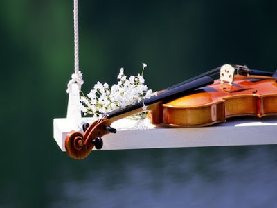 Mua đàn violin ở đâu Mua đàn violin ở đâu