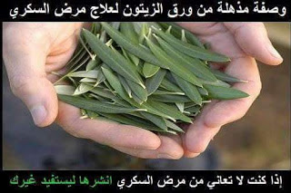 الطب البديل وصفة لعلاج السكري بأوراق الزيتون