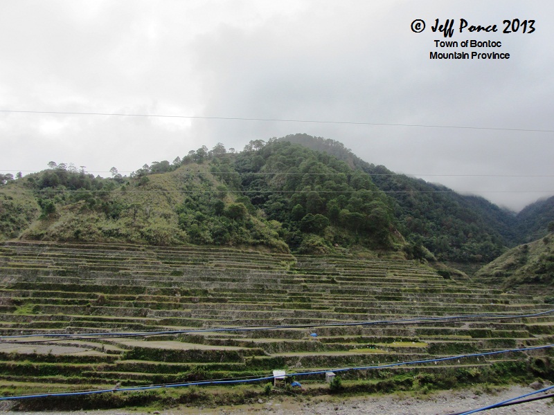 Bisayang Manlalakbay around the Philippines: Bontoc Rice Terraces along ...