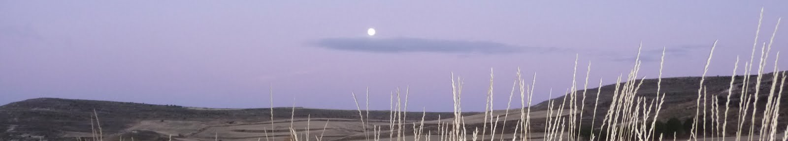 Moonset on the Meseta
