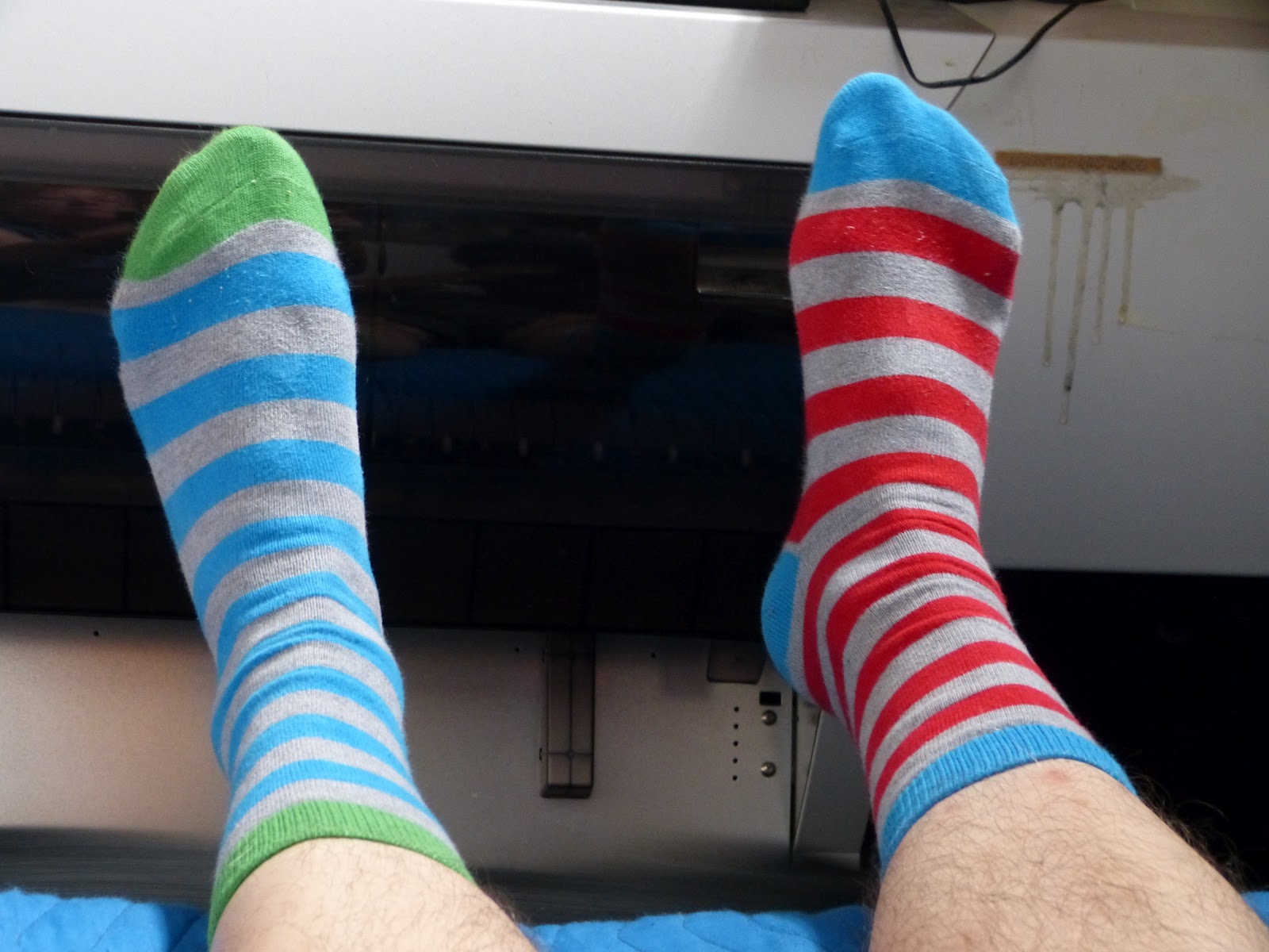 Buddy the Photo Dog Blog Odd Socks, Odd Shoes, Odd People