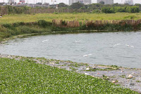 taman kota ria rio jakarta
