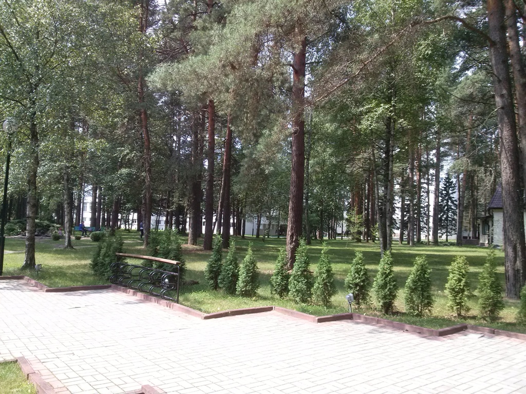 санаторий сосны вакансии