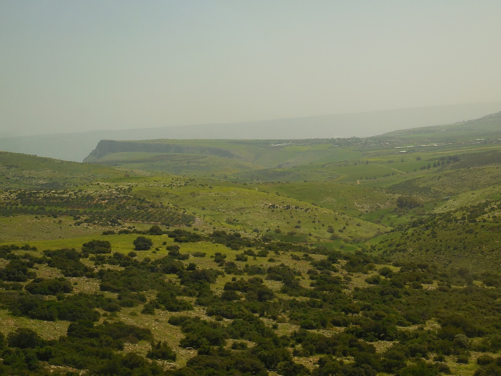 Live by the Sun Love by the Moon DAY 5 "Let's Renew Marriage Vows