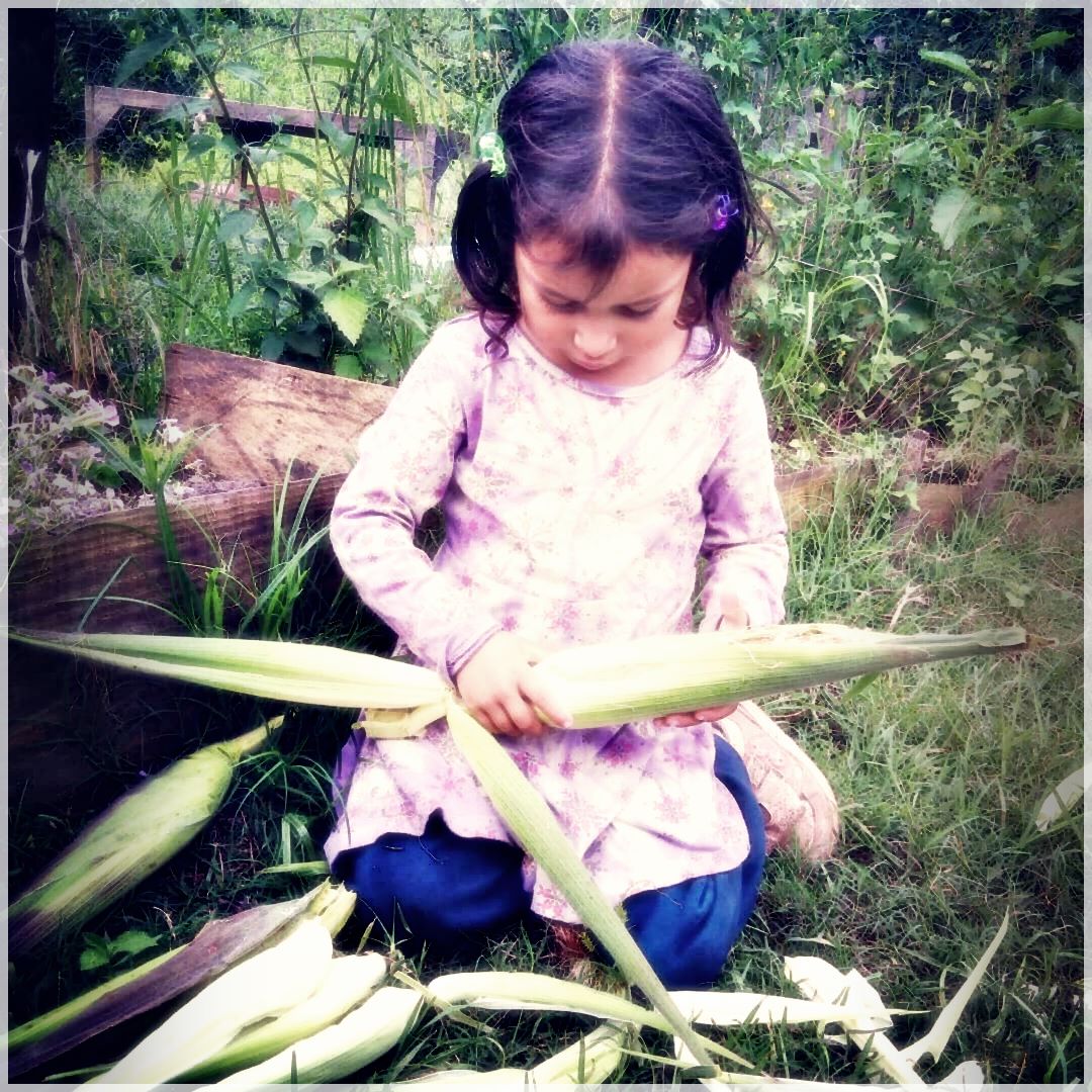 GrowSomething-87119190788