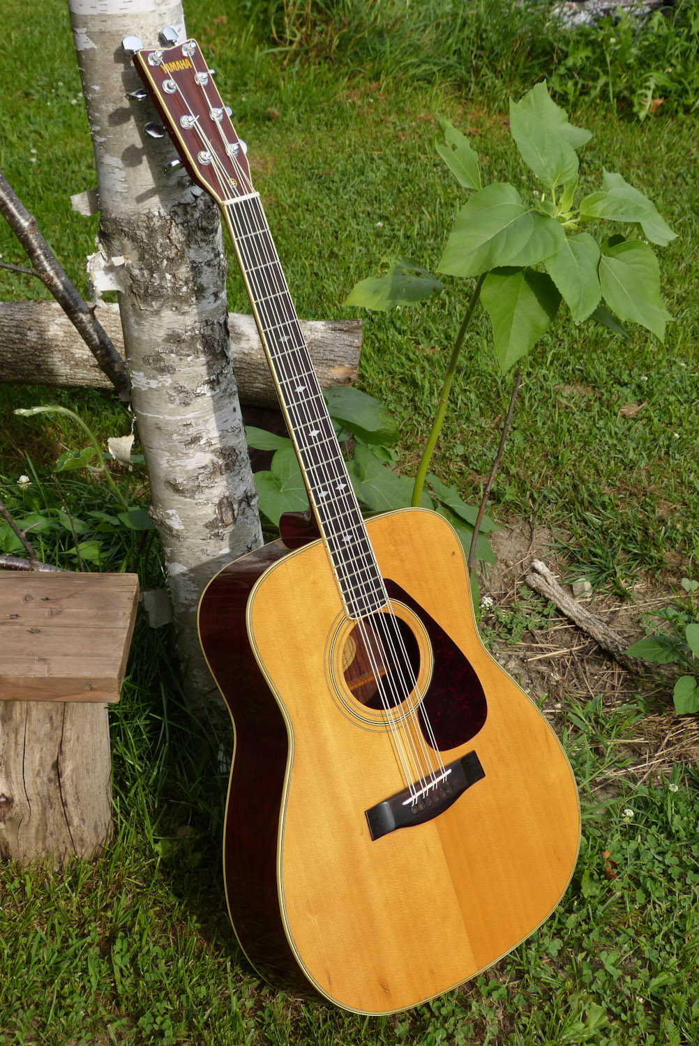 1978/2016 Yamaha "Classical" Mandolone