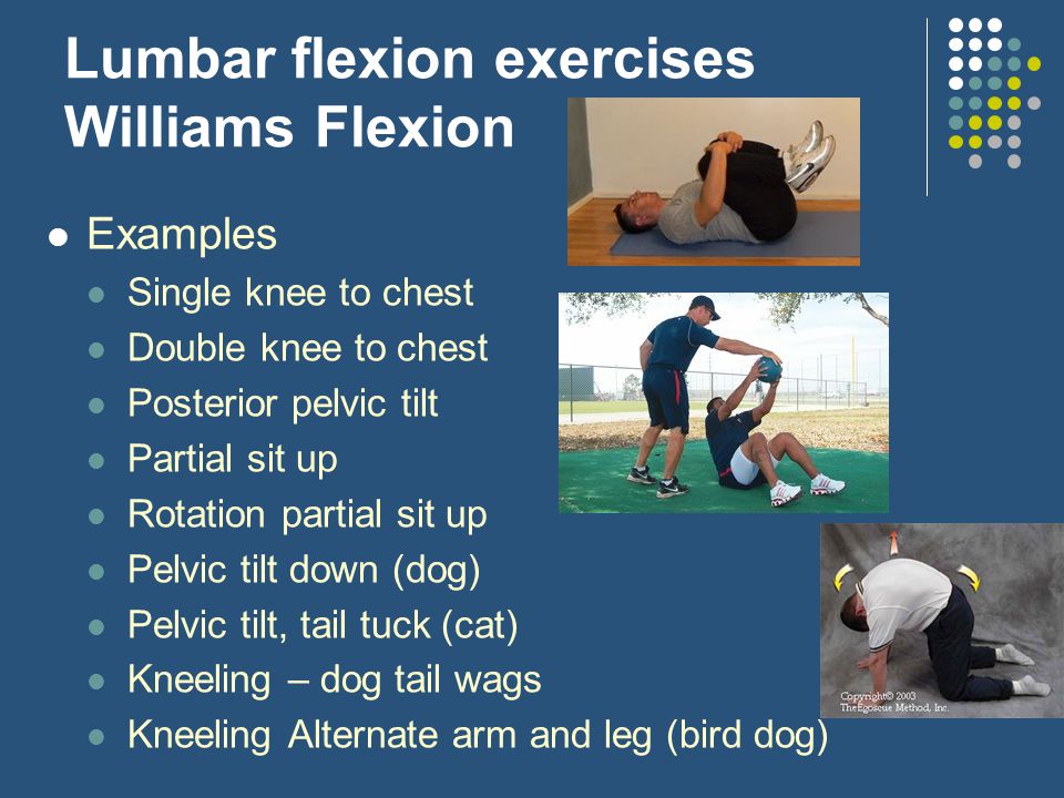 William's Flexion Exercises