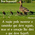 ►Boa Semana!!!