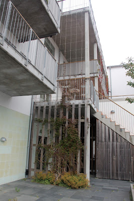 climbing vines along a more newly built "filler" building at the north end of the European Village climbing vines along a more newly built "filler" building at the north end of the European Village