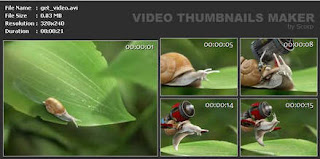 SUU Design Video Thumbnails Maker 3.0.0.8