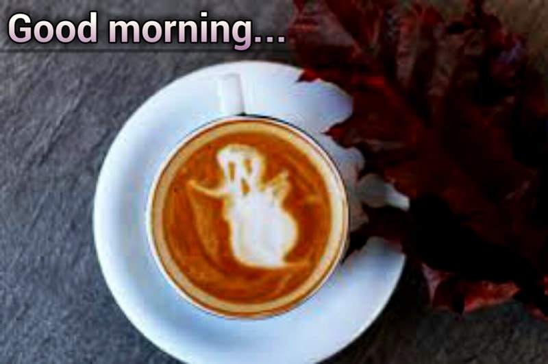 good morning photos free download good morning pictures for whatsapp, good morning image, good morning photos free download, good morning photos hd