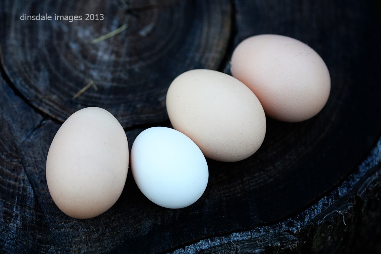 Dinsdale Photo Blog October 2013