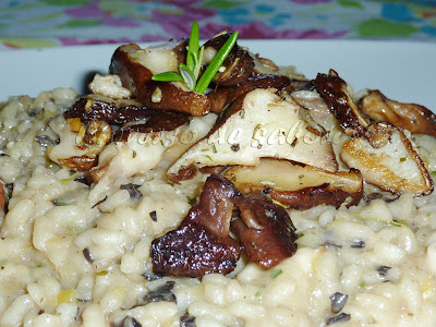 risotto+de+setas.jpg