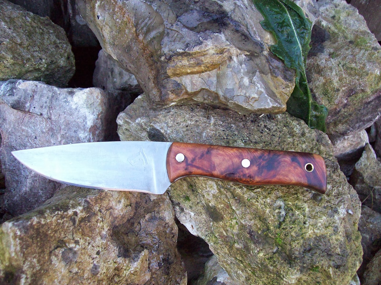 L'âme des Leuques: couteau de bushcraft
