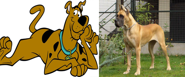 Nostalgia - Cachorros de desenhos animados | Carestima
