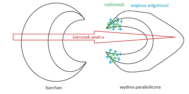 Barchan i wydma paraboliczna