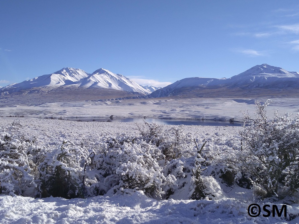 Vivre Auckland Voyager en NouvelleZélande pendant l'hiver austral, un