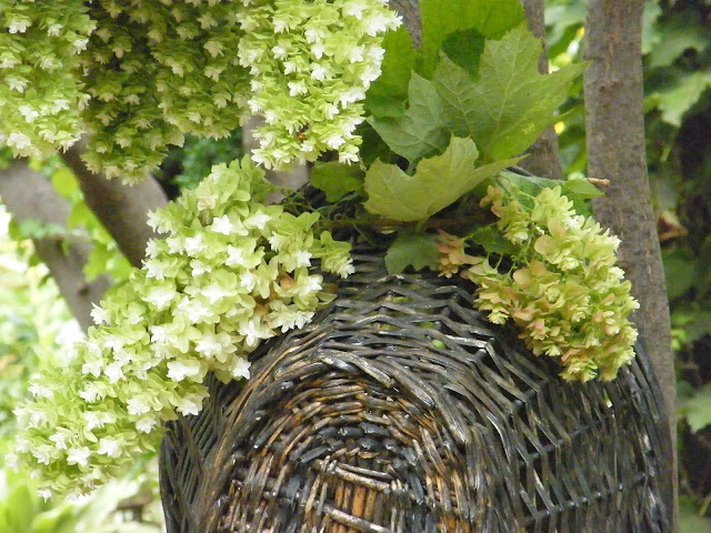 Hanging baskets, wrought iron lanterns and pots of topiary help beautify a backyard vignette.