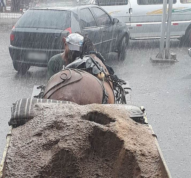 Sr. José Alcides abraçando seu cavalo Pé de Pano na chuva