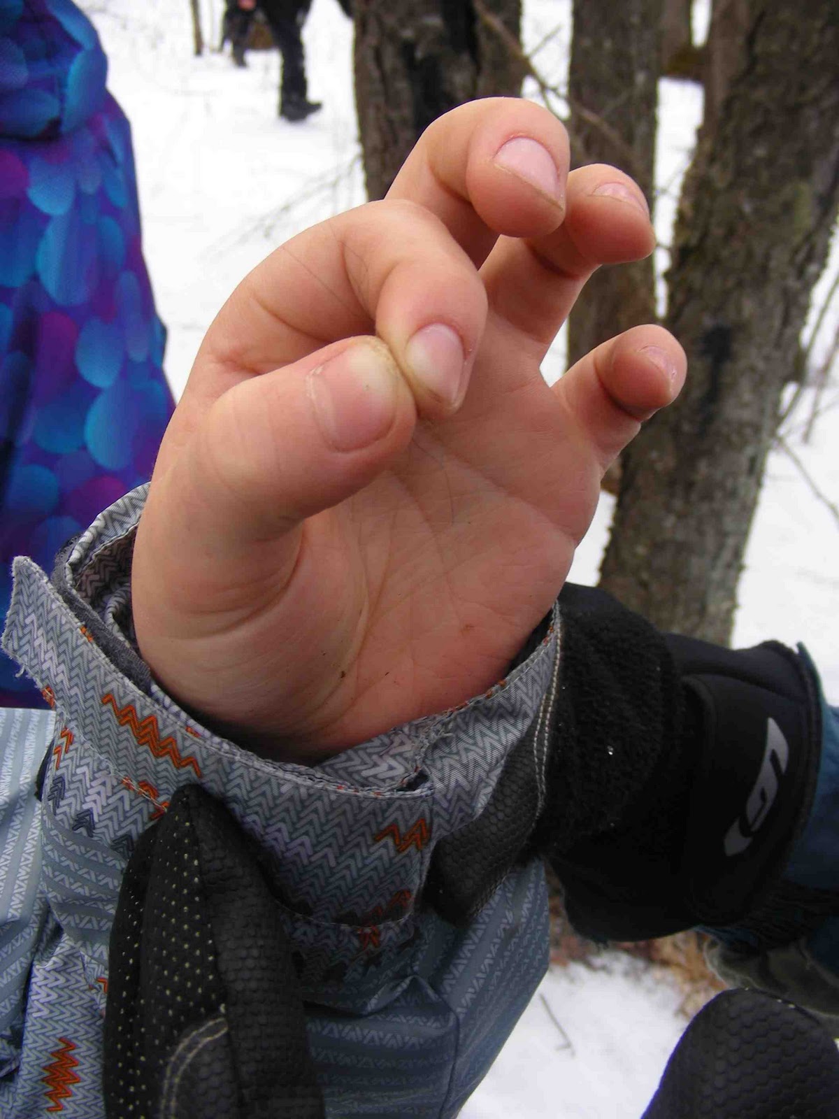 Branchés sur la faune Connected to wildlife StÉdouard, Lac Brome