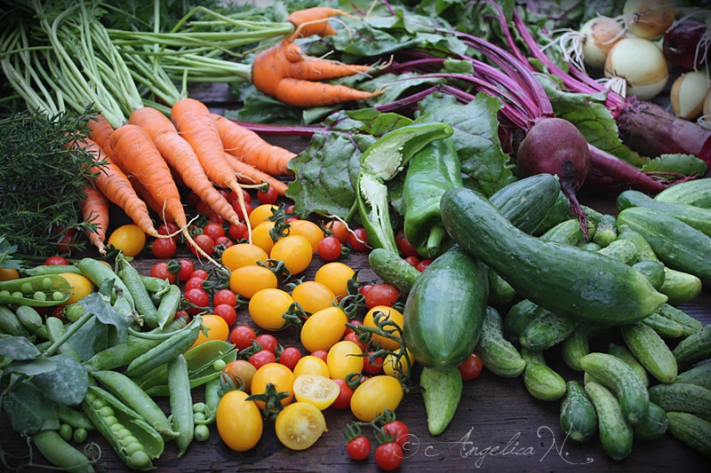 Frumoasa viata la tara...bucate din gradina:)