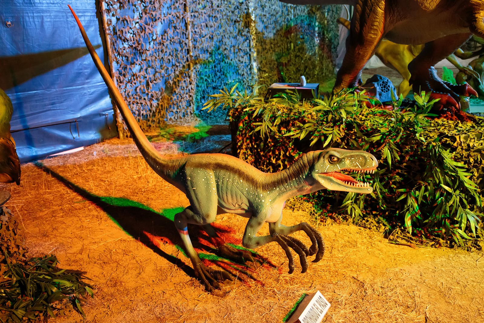 Выставка динозавров колизей. Панама выставка динозавров. Выставка динозавров буклет. Ктенозавриск. Аризоназавр фото.