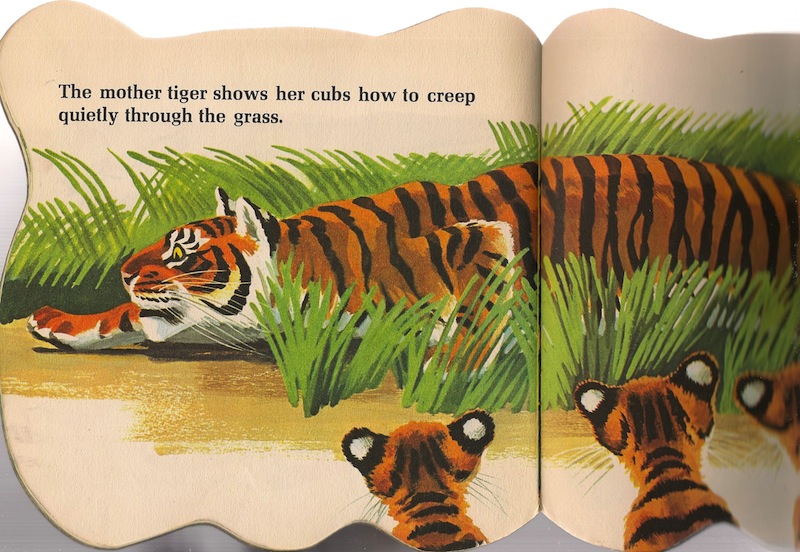 Тайгер книга. Тигр с книжкой. Тигр с книгой. Тигр тигр книга. Парящий тигр книга.