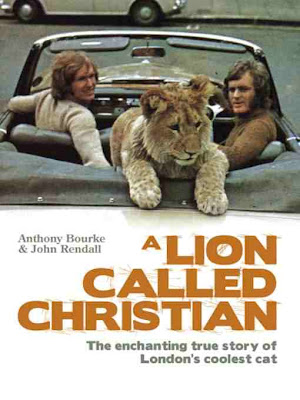 lion called christian