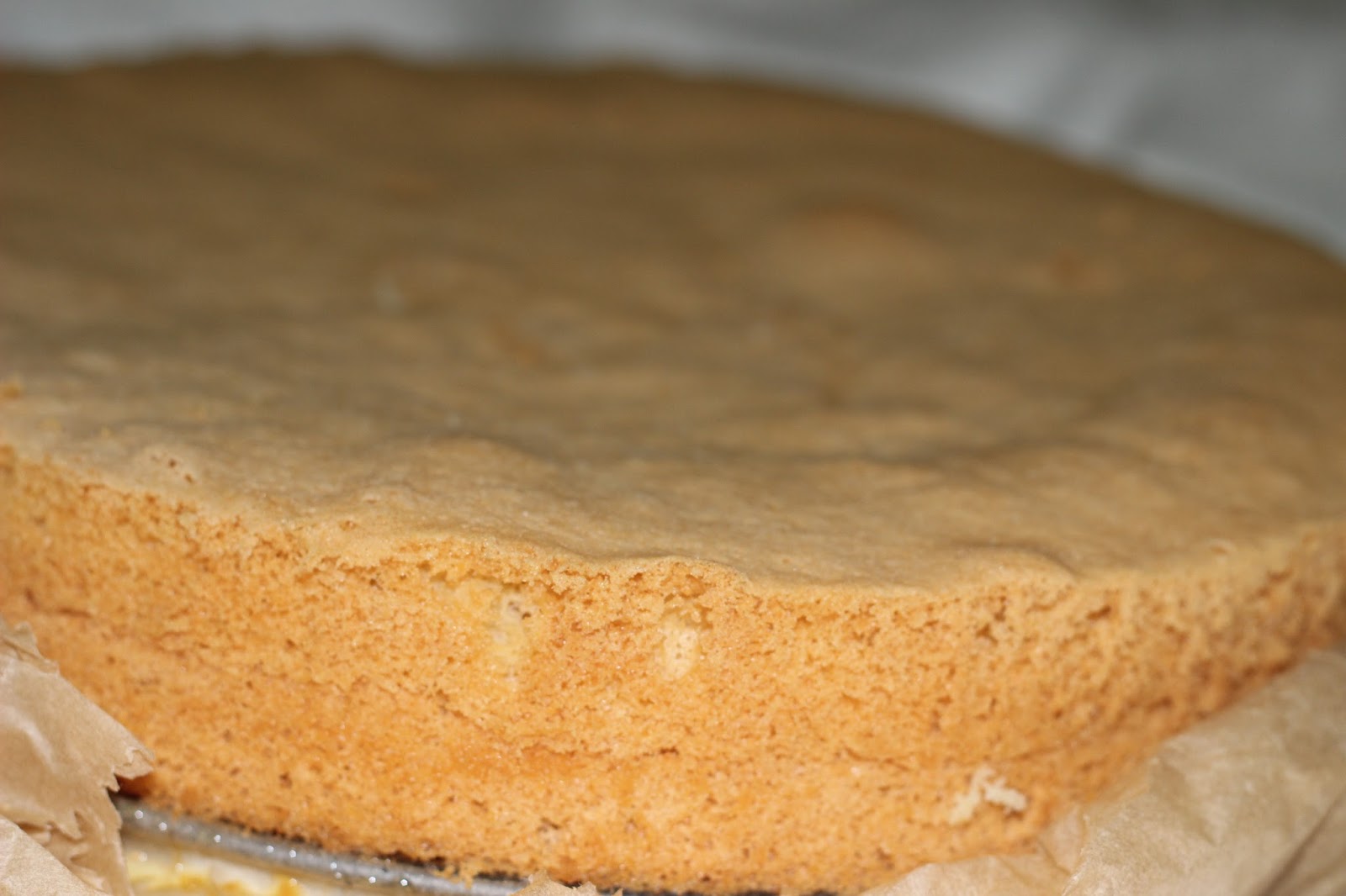 gruensteinKitchen: Biskuitteig/Biskuitmasse/Biskuitboden - Grundrezept