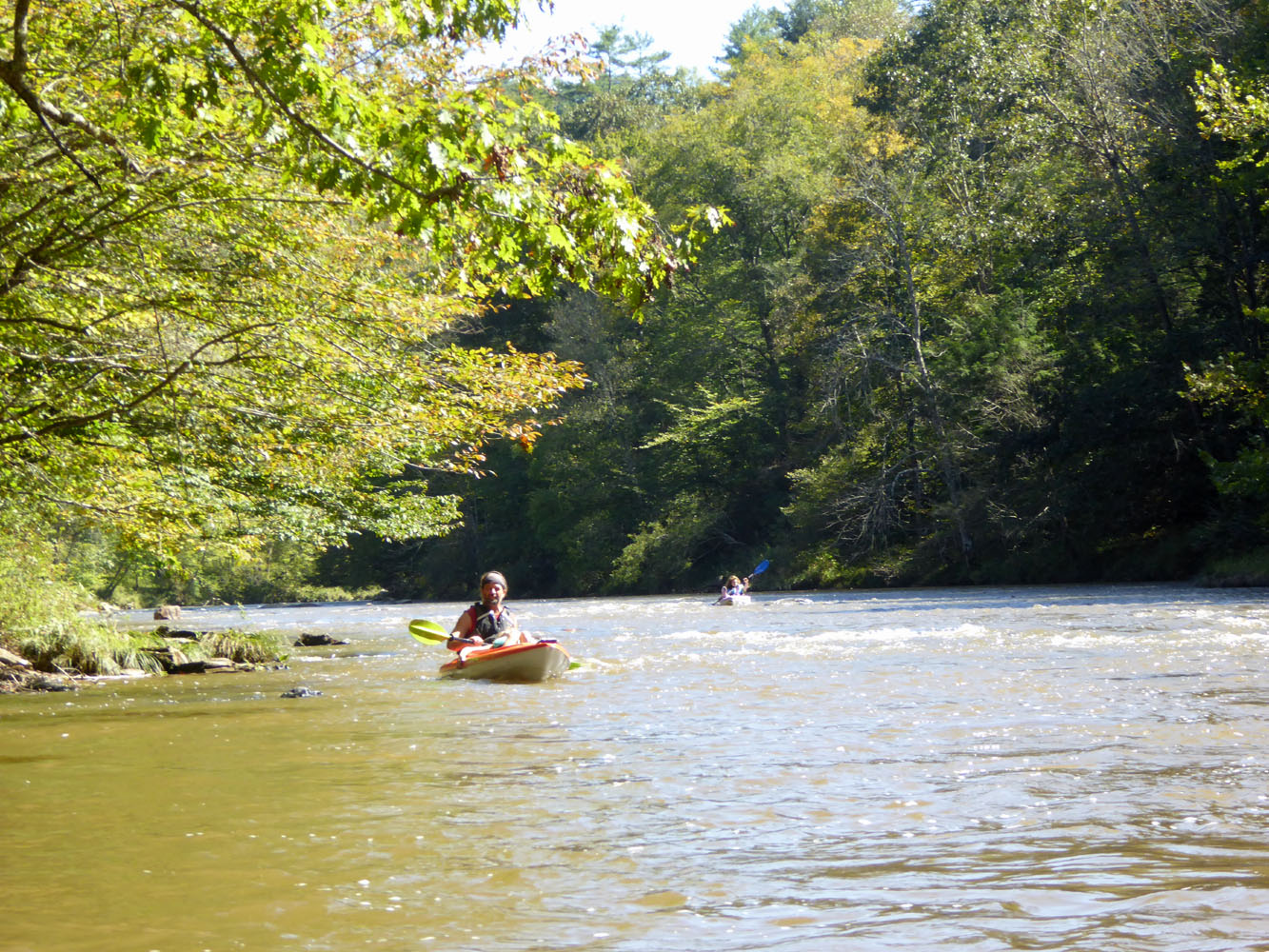 The Enchanted Tree Kayaking on Big Reed Island Creek