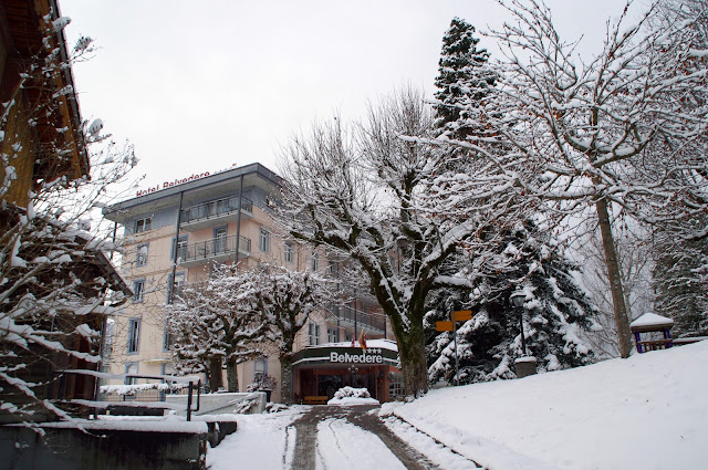 Hotel Belvedere Switzerland Winter