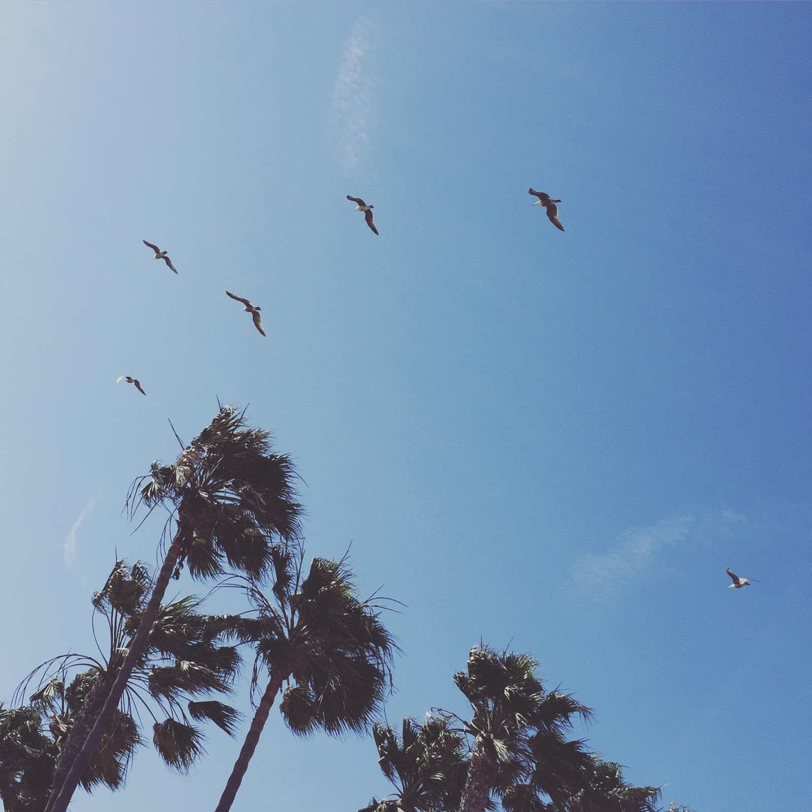 lítil strandarferð // a little beach trip