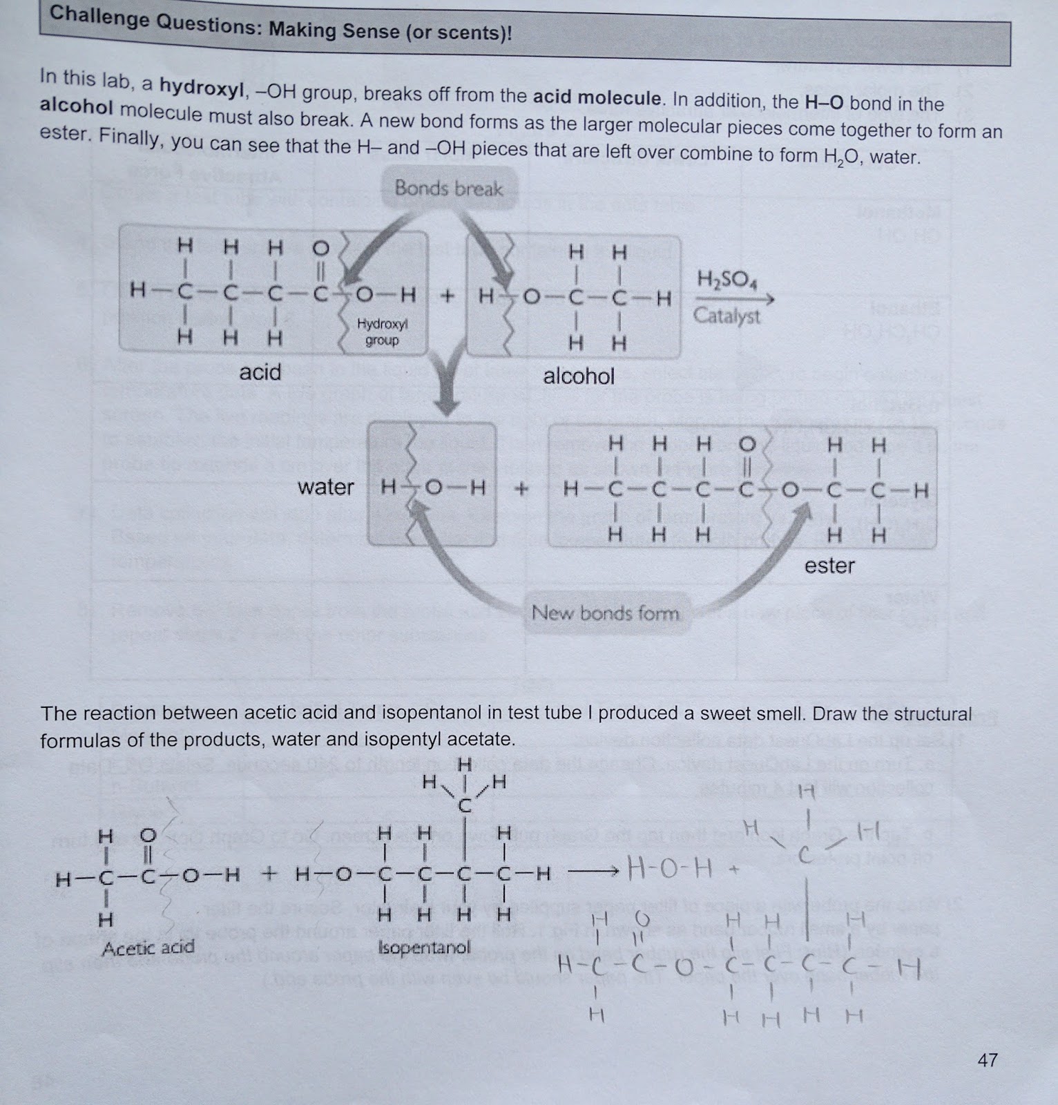 Fischer esterification lab report picture