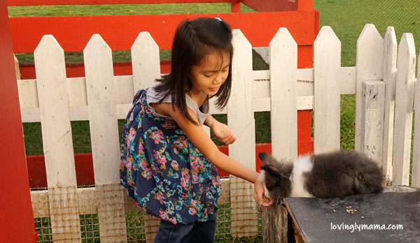 Happy Horse Farms Equestrian Center- Negros Occidental equestrian center - equestrian lessons - horse riding lessons - Talisay City - homeschooling - riding lessons for girls - Bacolod blogger - Bacolod mommy blogger - travel blogger - riding school