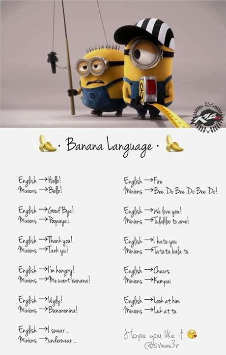 pian minion meaning pian minion meaning