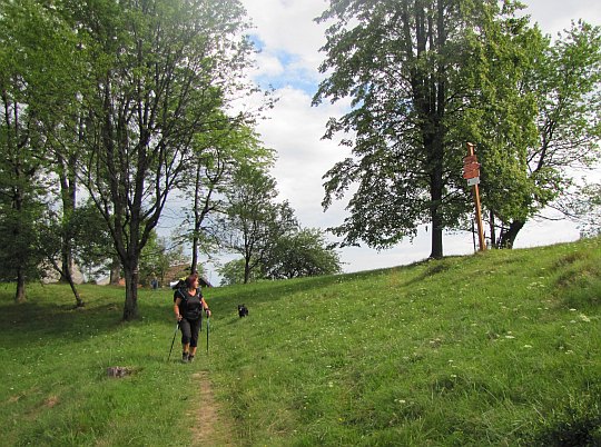 Kordowiec (763 m n.p.m.). Kordowiec (763 m n.p.m.).
