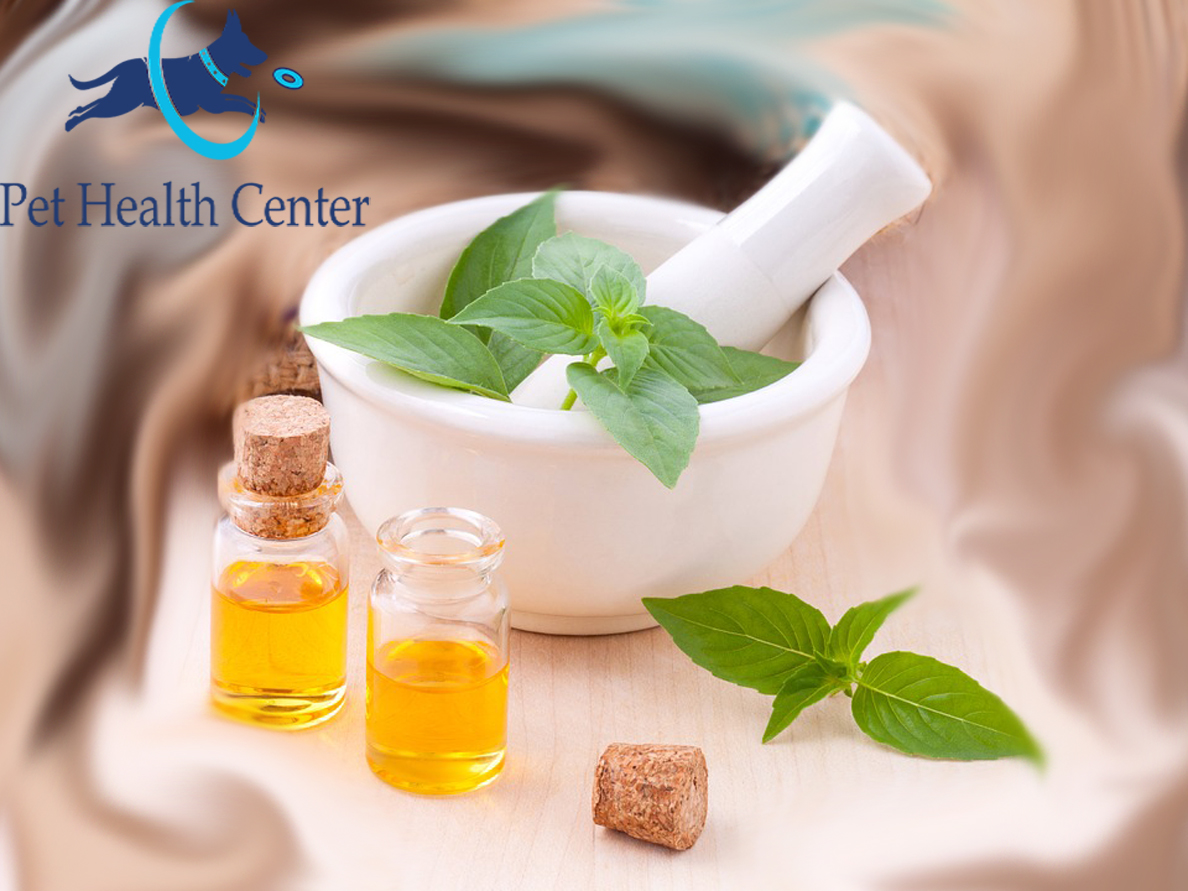 Learn All About Herbal Treatment For Dogs Pet Health Center