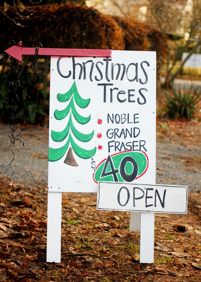 Tacky Christmas Sweater Challenge — Covet & Acquire