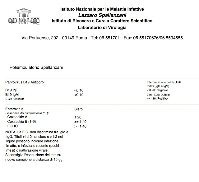 risultati ricerca anticorpi analisi anticorpi coxsackie A B ECHO Parvovirus Enterovirus