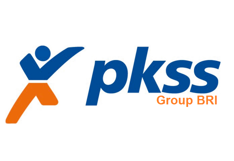 Lowongan Kerja PT Prima Karya Sarana Sejahtera (PKSS