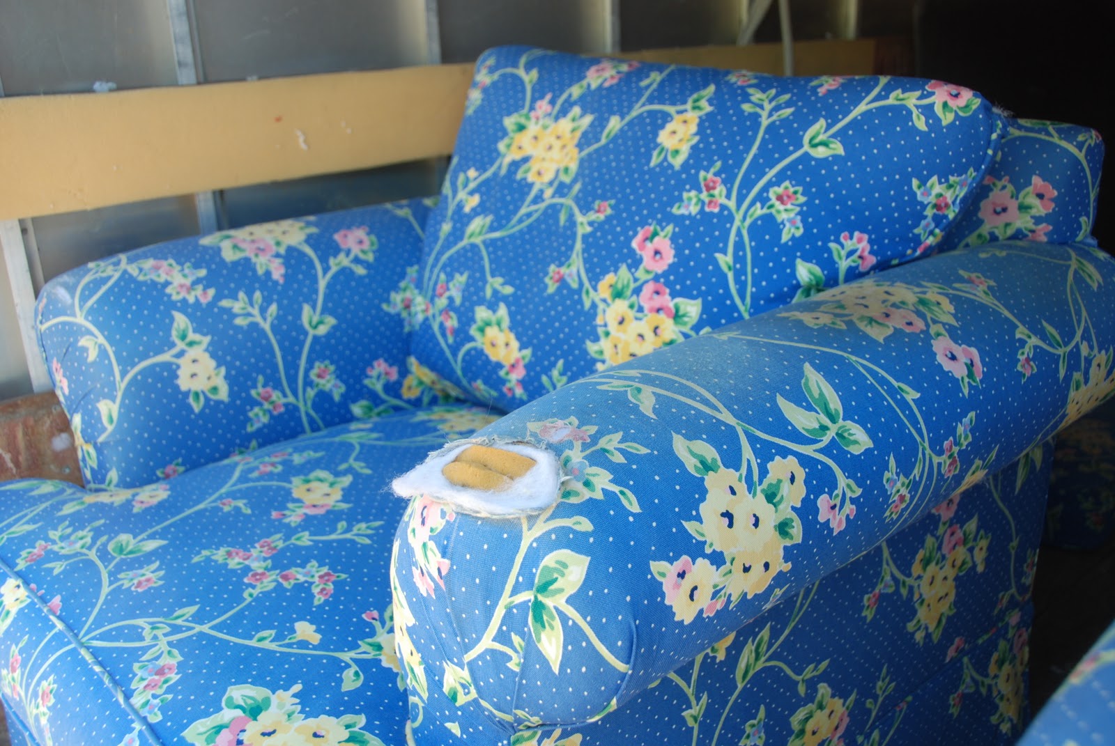 Pollins of Napa: Polka Dot Chairs