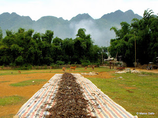 MAI CHAU, VIETNAM