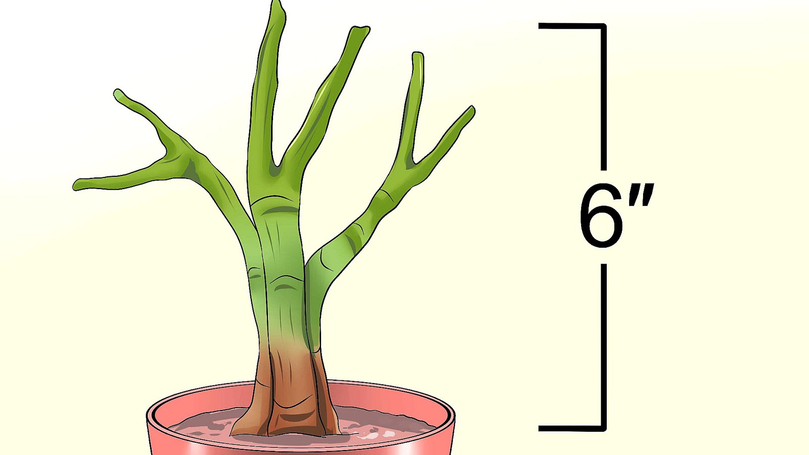 Umbrella Tree Pruning Tree Choices