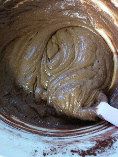 Gluten Free Chocolate Batter in the Wilko mixing bowl