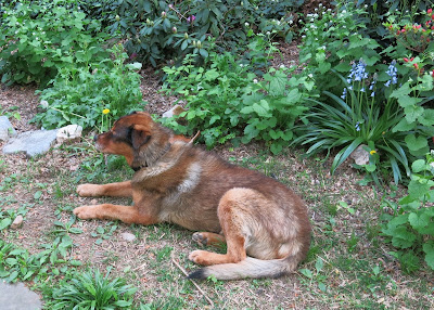 Theda, Sunday, April 24, 2016, 5:42:24 PM