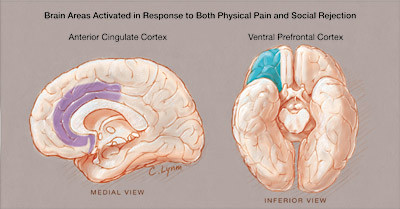 Andrzej Gąsiorowski: Social Rejection