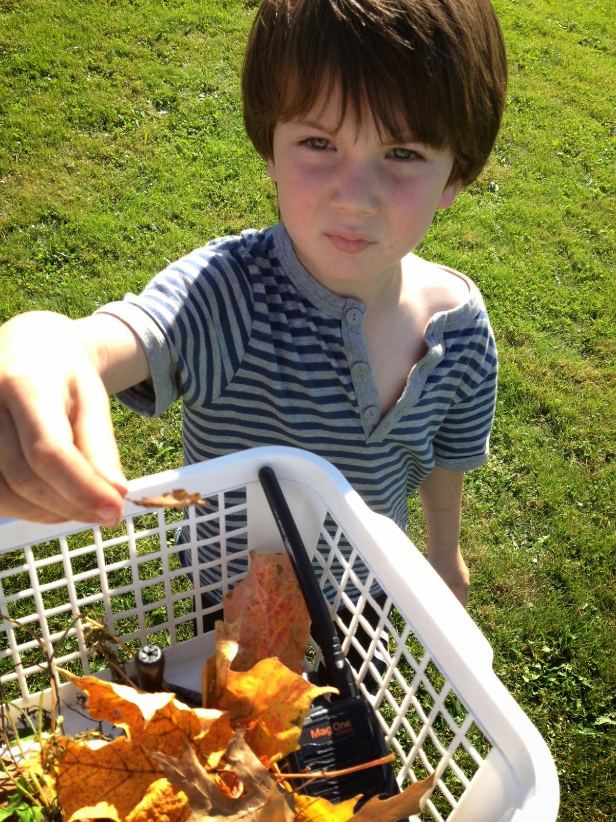 Ms. Rowntree's Kindergarten: Autumn Nature Walk: Kindergarten Community