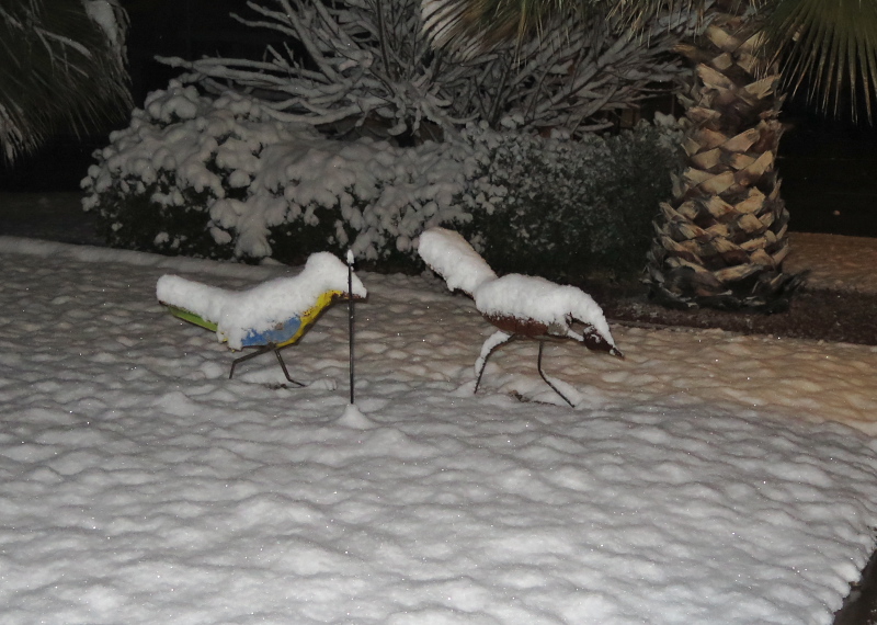 Carla's blog Four Inches of Snow in Alamogordo, New Mexico