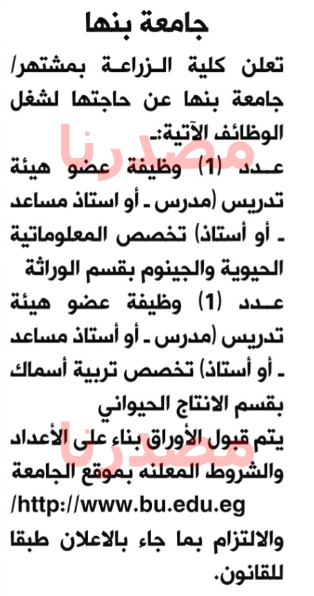 الاهرام - وظائف خالية فى جريدة الاهرام الاثنين 19-12-2016 %25D8%25AC%25D8%25A7%25D9%2585%25D8%25B9%25D8%25A9%2B%25D8%25A8%25D9%2586%25D9%2587%25D8%25A7%2B%25D8%25A7%25D9%2584%25D8%25A7%25D9%2587%25D8%25B1%25D8%25A7%25D9%2585