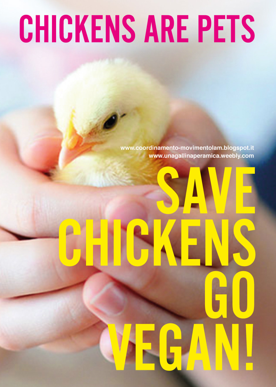 CHICKENS ARE PETS. GO VEGAN!